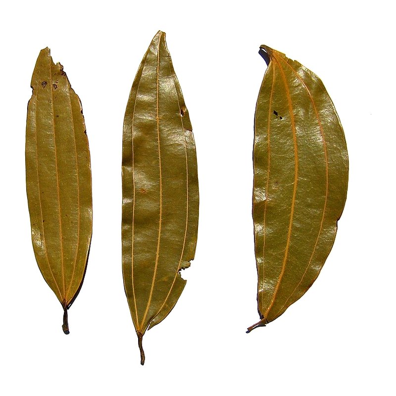 Bay Leaf (Tej Patta)