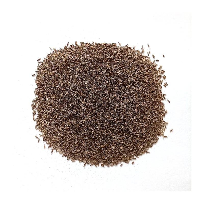 Caraway Seeds