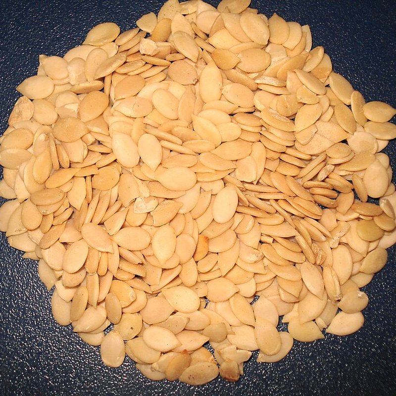 Four Seeds Mix (Char Magaz)
