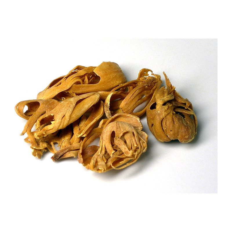 Mace (Javitri)
