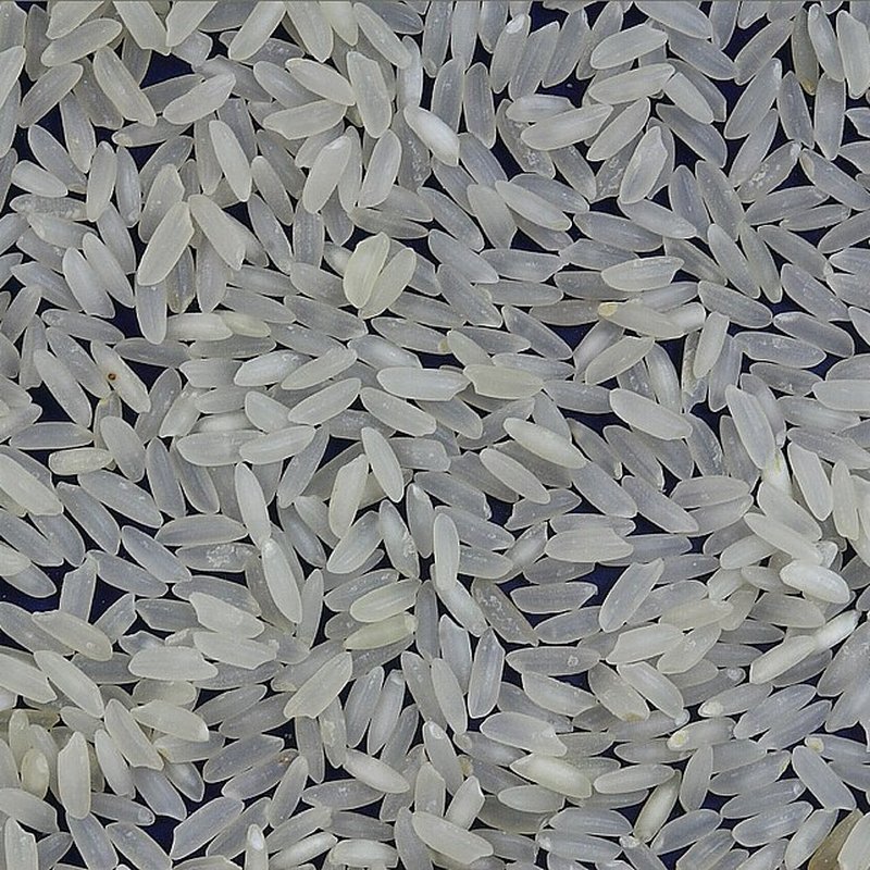 Masoori Rice (Everyday)