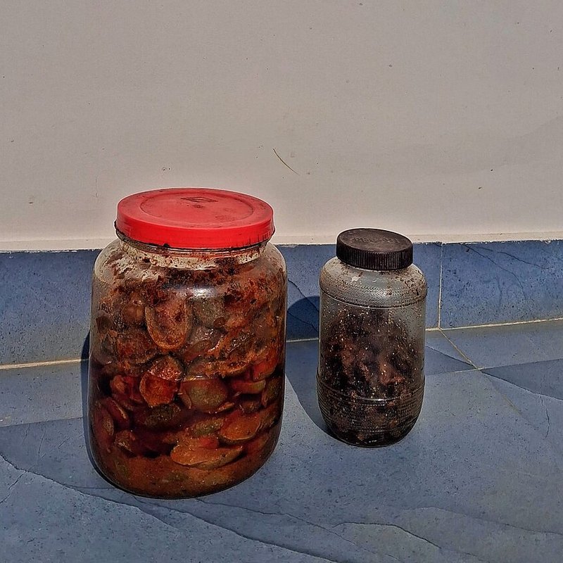Mixed Pickle (Bulk Tub)