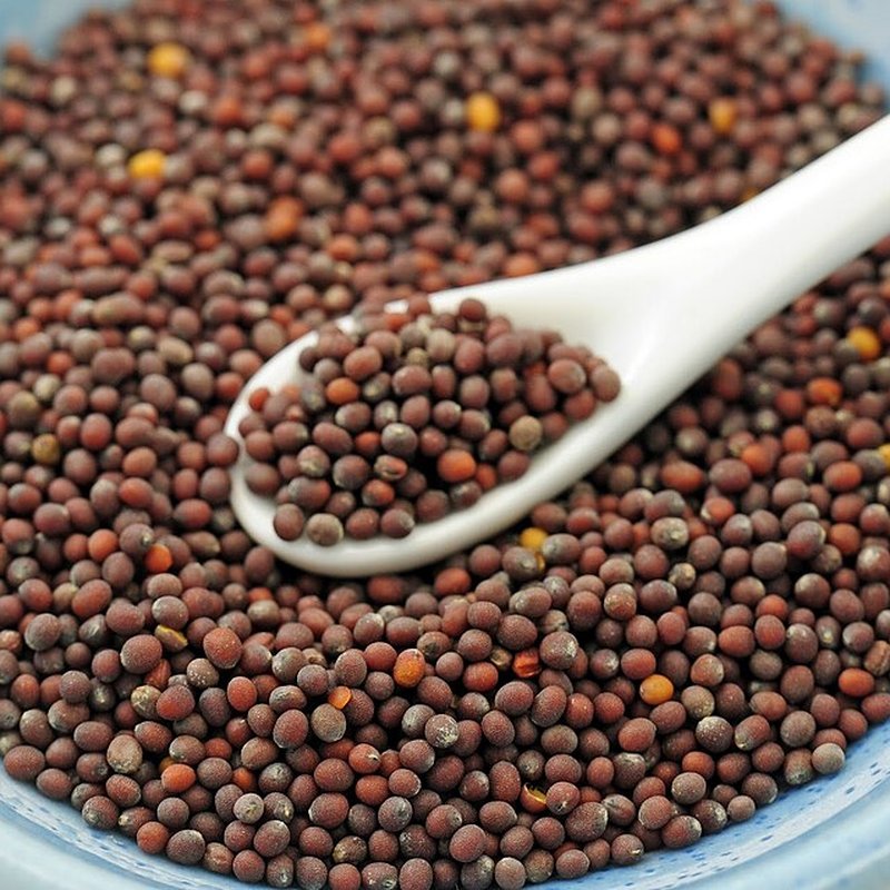 Mustard Seeds (Rai)