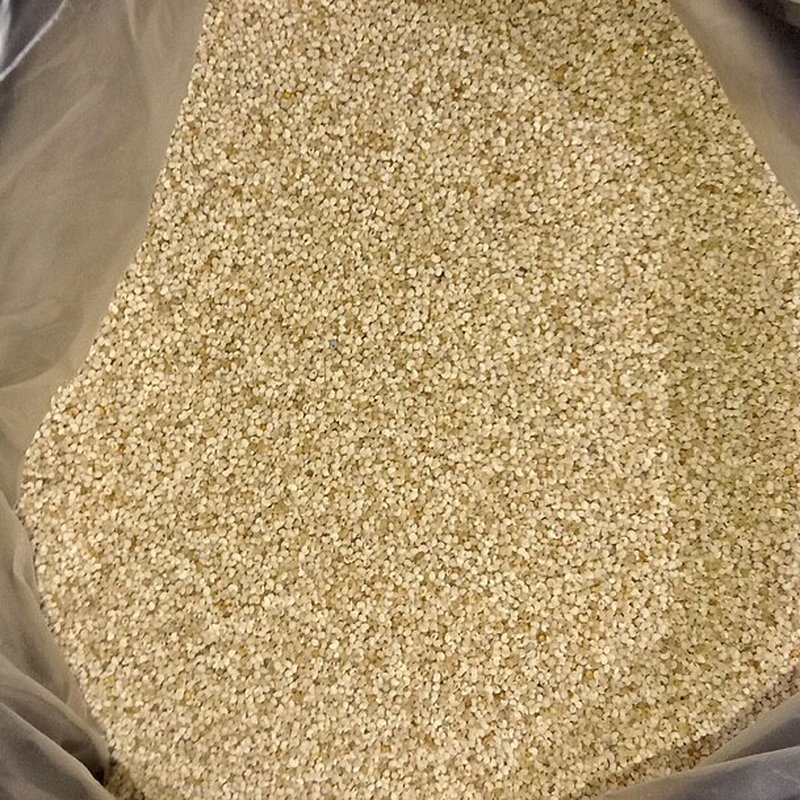 Poppy Seeds (Khus Khus)