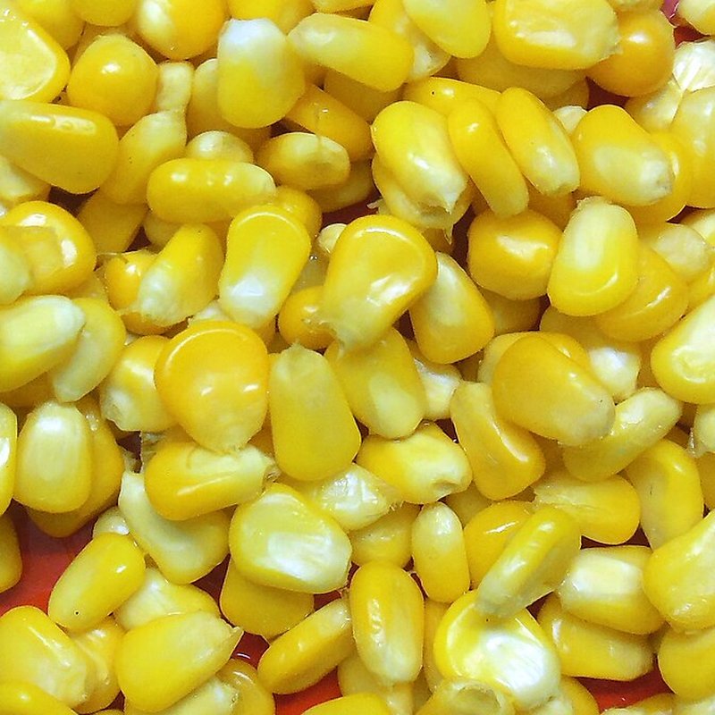 Sweet Corn (Tin)
