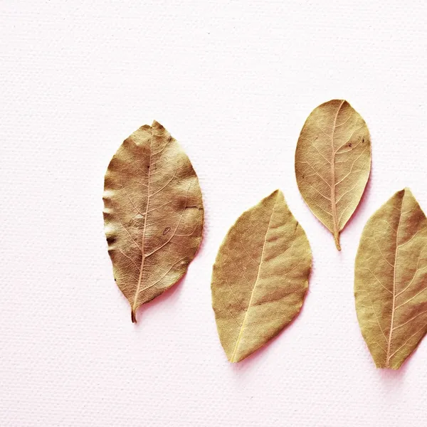 Bay Leaf (Tej Patta)
