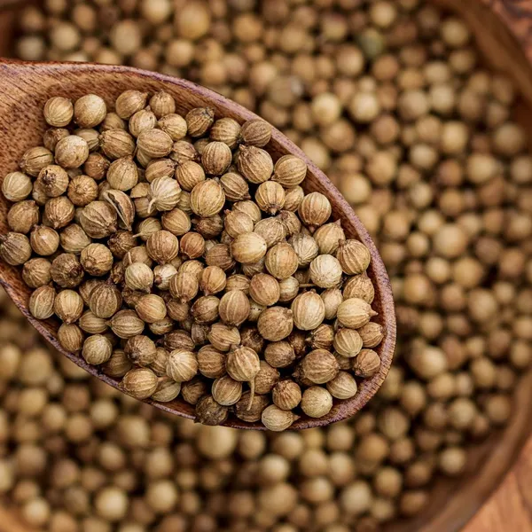 Coriander Seeds