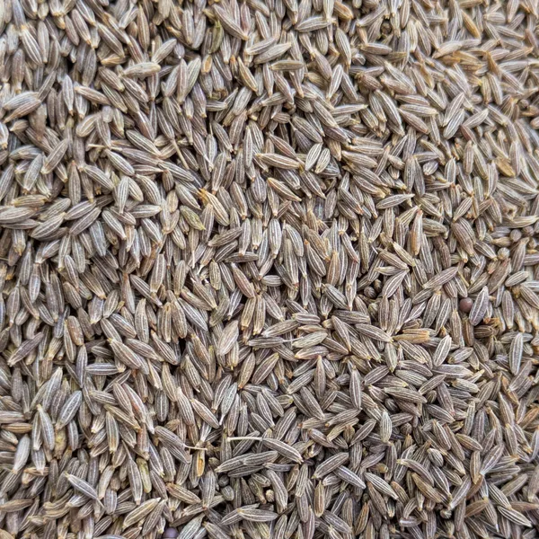 Cumin Seeds (Medium)