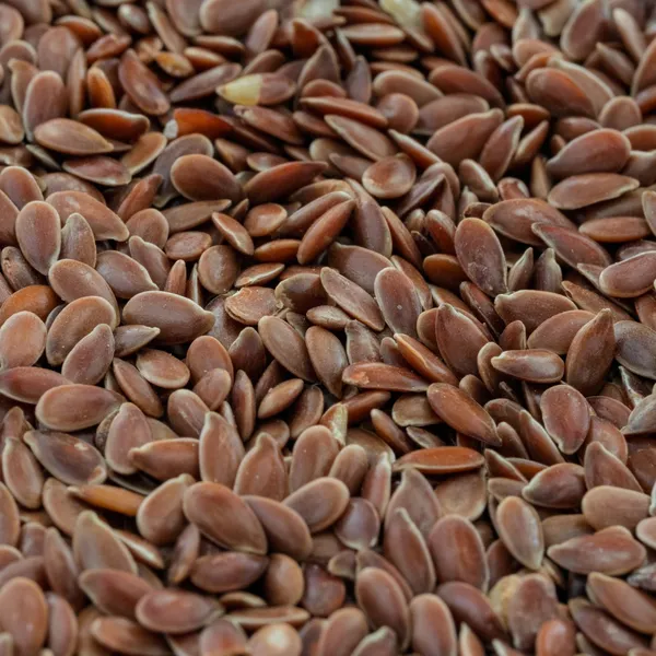 Flax Seeds (Alsi)