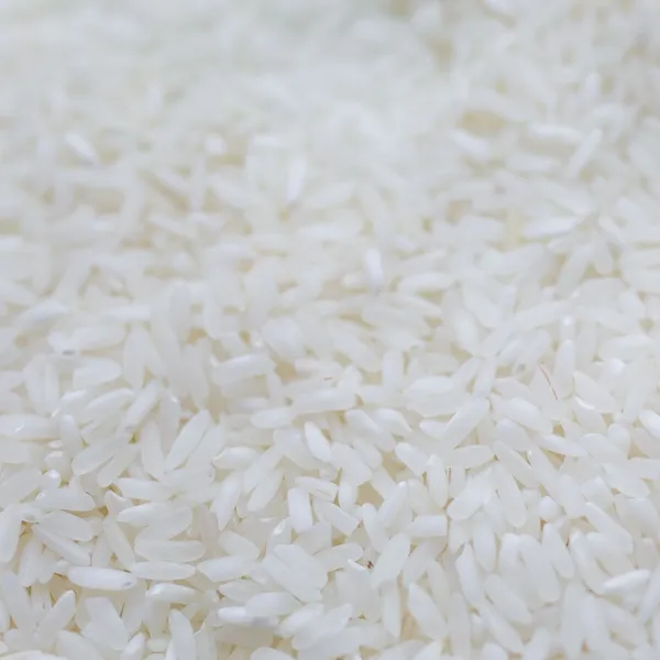 Masoori Rice (Everyday)