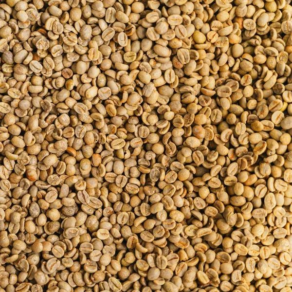 Matki (Moth Beans)