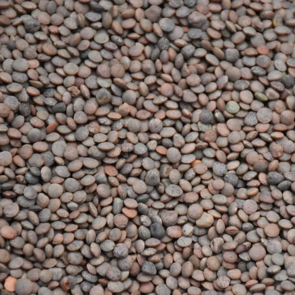 Urad Dal Chilka